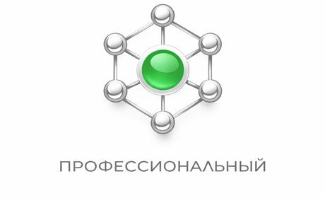 Профессиональный